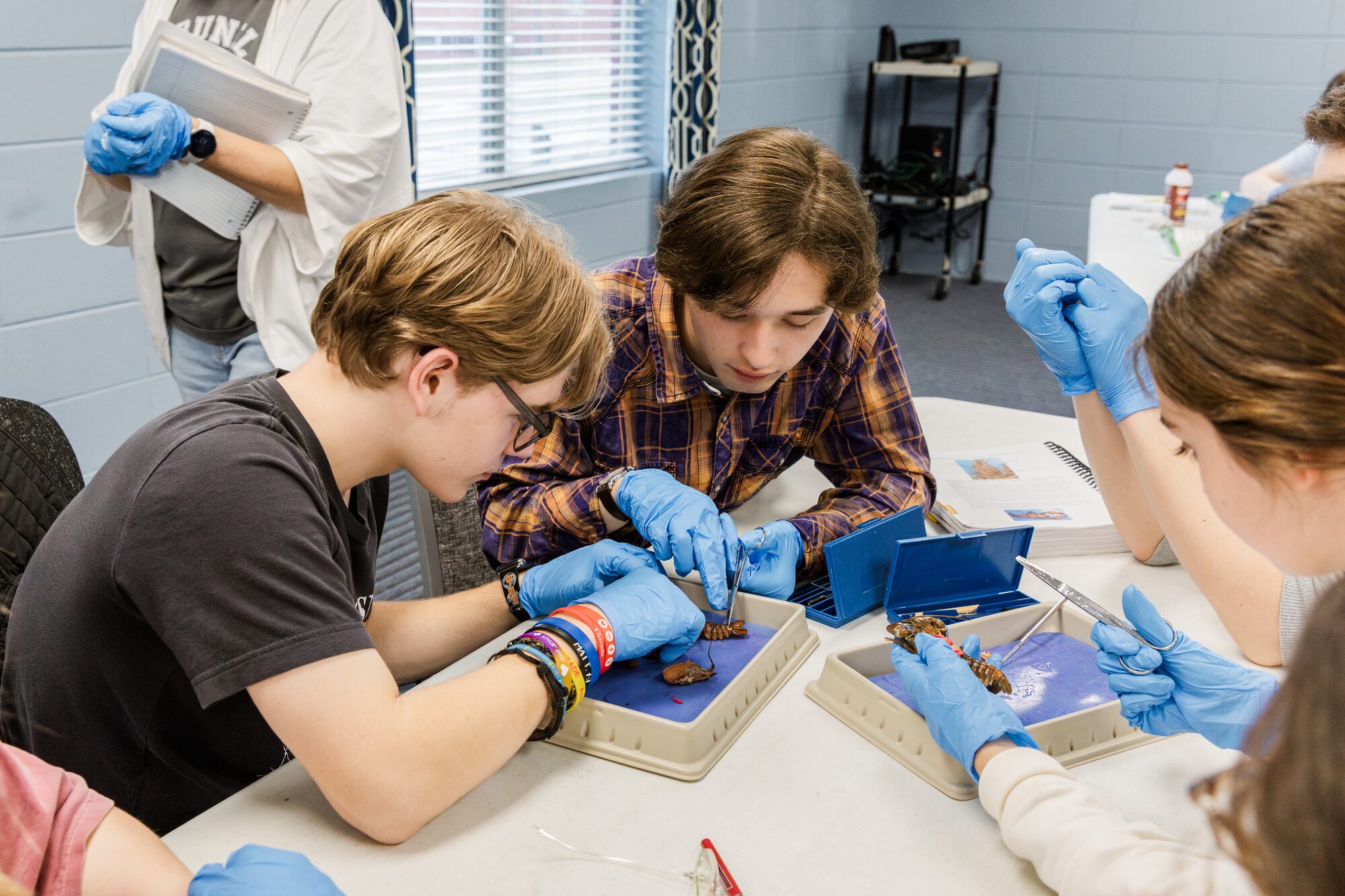 Students examining specimens together during a science tutorial