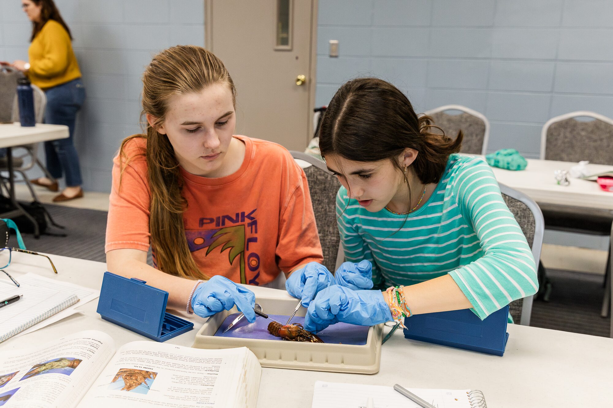 Two students dissecting a crayfish during a biology tutorial