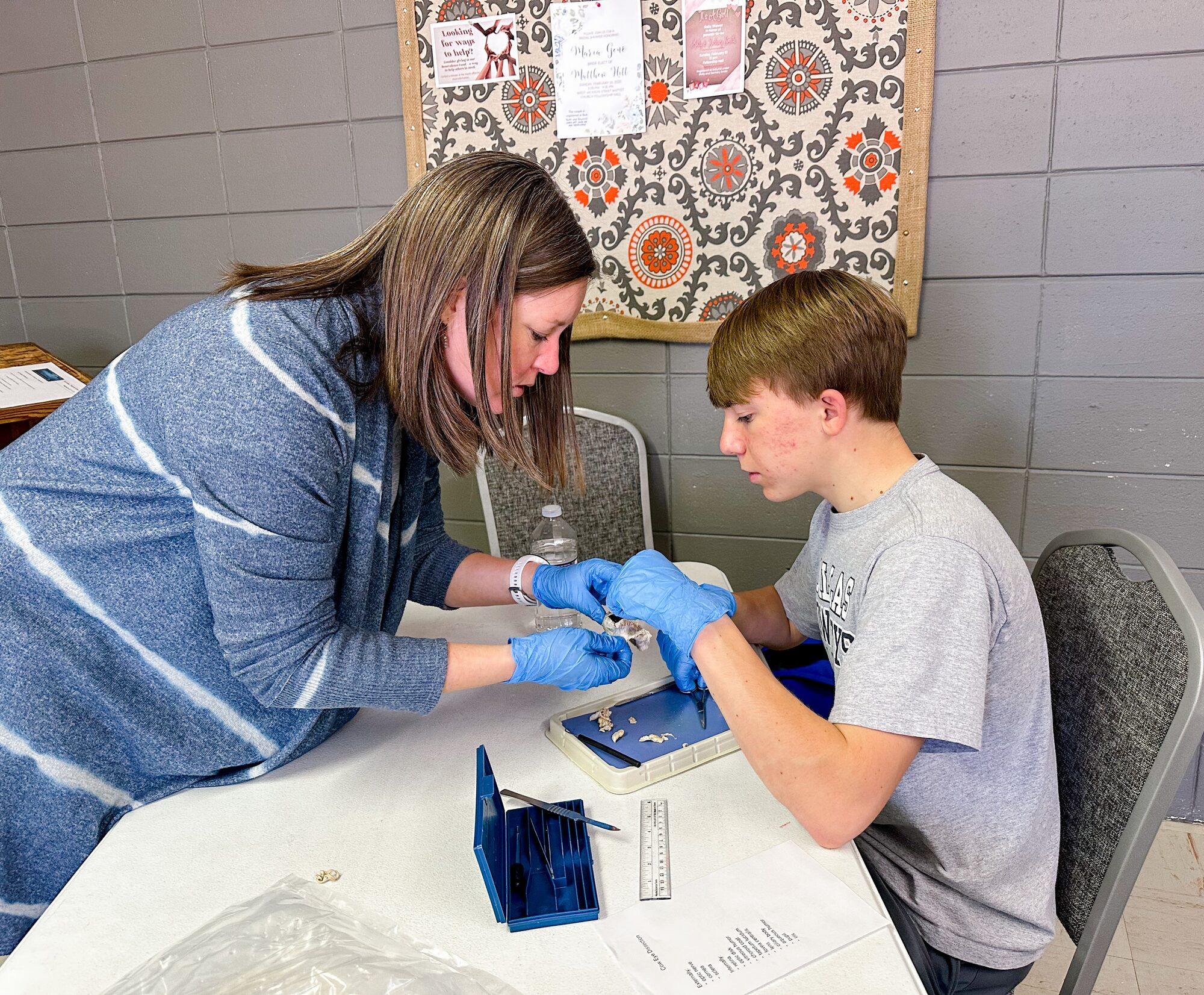 A tutor guiding a student through a cow eye dissection